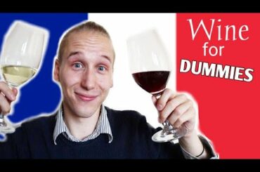 BEST Wine for Beginners: FRENCH WINE