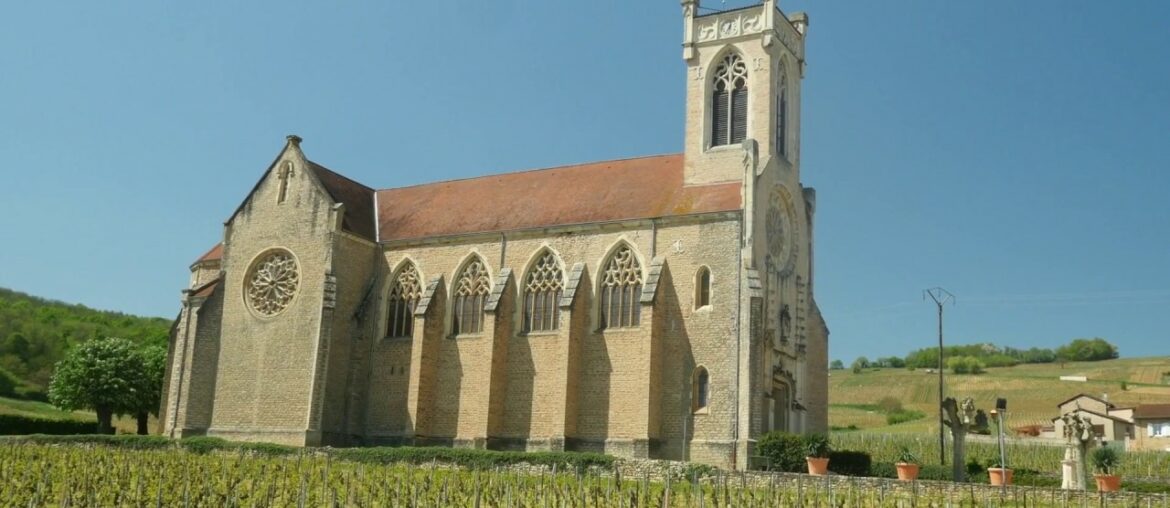 The Wines of Burgundy