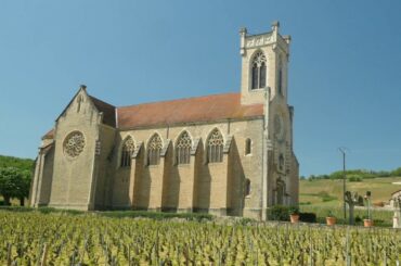 The Wines of Burgundy