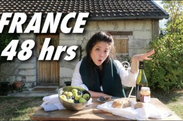 SO MUCH FRENCH WINE 🇫🇷 The Loire Valley and its sparkling wine (Val de Loire, France)