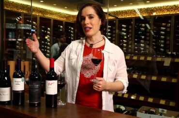 Pinot Noir, Merlot, Cabernet Sauvignon, Shiraz, Syrah - Red Wine Guide