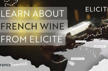 Learn About French Wine With ELICITE