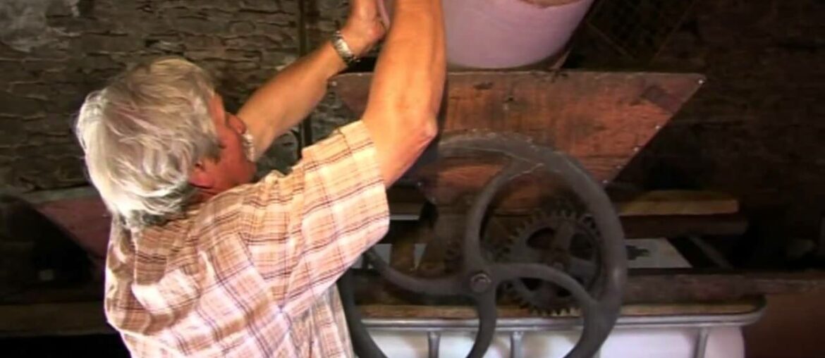 WINE MAKING BY A FRENCH FAMILY IN THE TRADITIONAL OLD FASHION WAY.