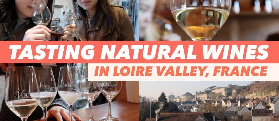 Wine Tasting in France 🍷 | Perfect Day Trip from Paris Wine Tasting in France 🍷 | Perfect Day Trip from Paris
