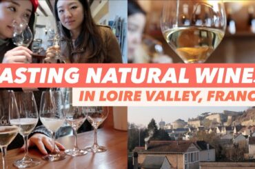 Wine Tasting in France 🍷 | Perfect Day Trip from Paris