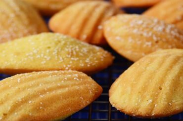 Madeleines Recipe Demonstration - Joyofbaking.com