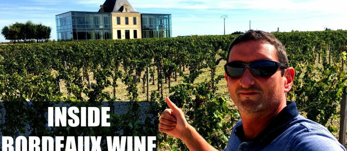 How Wine is Made? – Inside a Château in Bordeaux How Wine is Made? - Inside a Château in Bordeaux