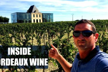 How Wine is Made? - Inside a Château in Bordeaux