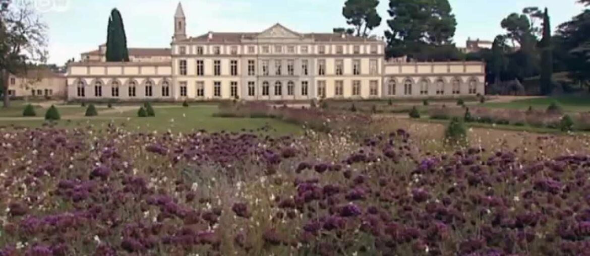 A Wine Tour of Southern France | Euromaxx