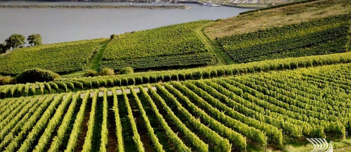 The Wine Regions of Bordeaux