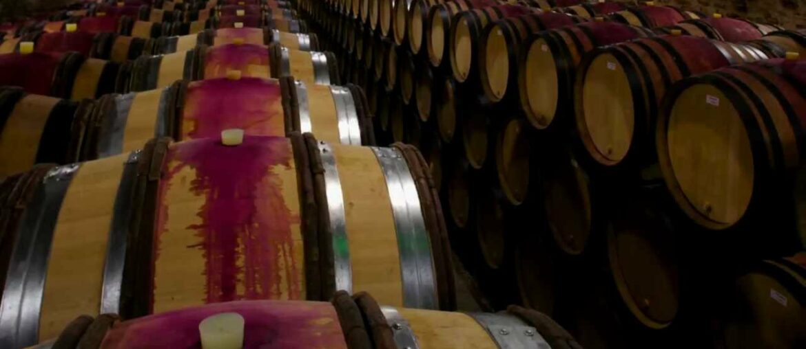 Burgundy Wine Behind the Bottle – Wine Oh TV Burgundy Wine Behind the Bottle - Wine Oh TV