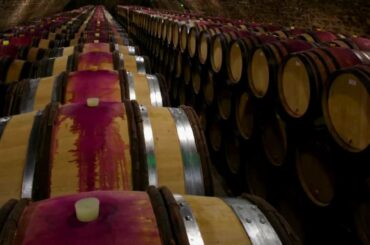 Burgundy Wine Behind the Bottle - Wine Oh TV