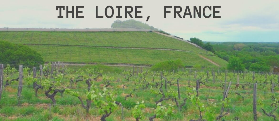 French Wine: Exotic Wine Travel In The Loire