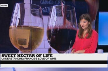 Vive le vin! How France transformed wine-making into an art form