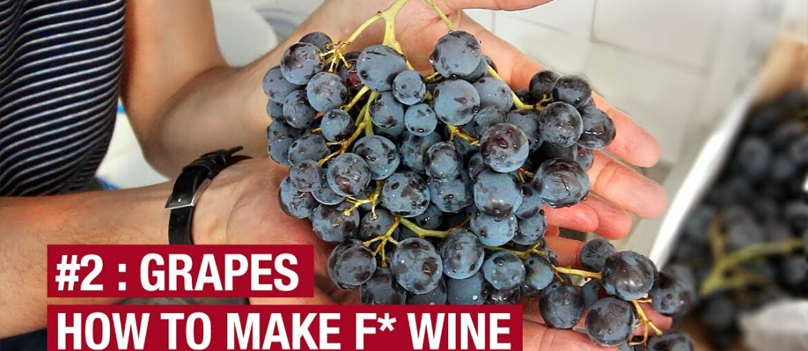 2. Bought 10Kg of Grapes. Now What ? How To Make F* Wine At Home Ep2