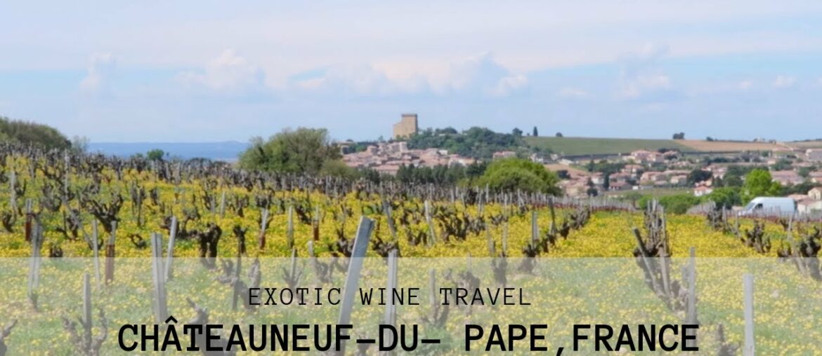 French Wine: Exotic Wine Travel In Châteauneuf-du-Pape French Wine: Exotic Wine Travel In Châteauneuf-du-Pape