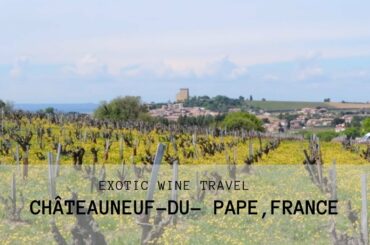 French Wine: Exotic Wine Travel In Châteauneuf-du-Pape
