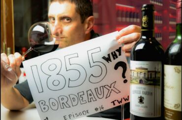 1855 Classification Bordeaux Wine 🍷 How, Why, What Now?