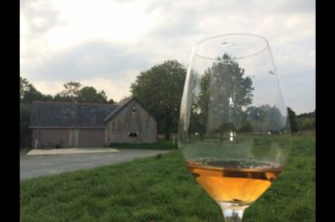 Travel to Loire Valley France: Uncorking the French Wine Region  - Wine Oh TV