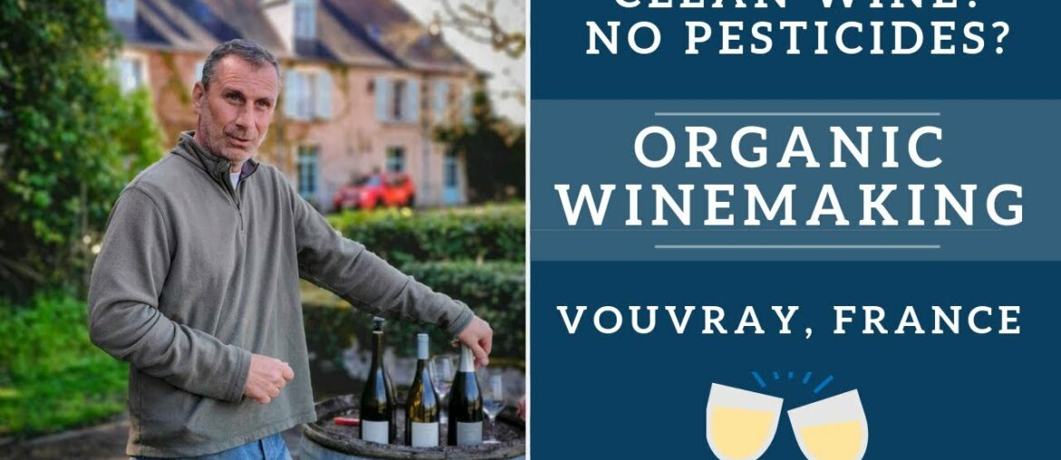 Organic wine behind the scenes in Vouvray, France Organic wine behind the scenes in Vouvray, France