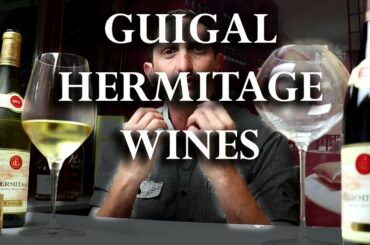Hermitage Wines by E. Guigal | Top French Red & White from Rhone