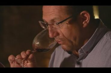 Will global warming ruin French wine production?