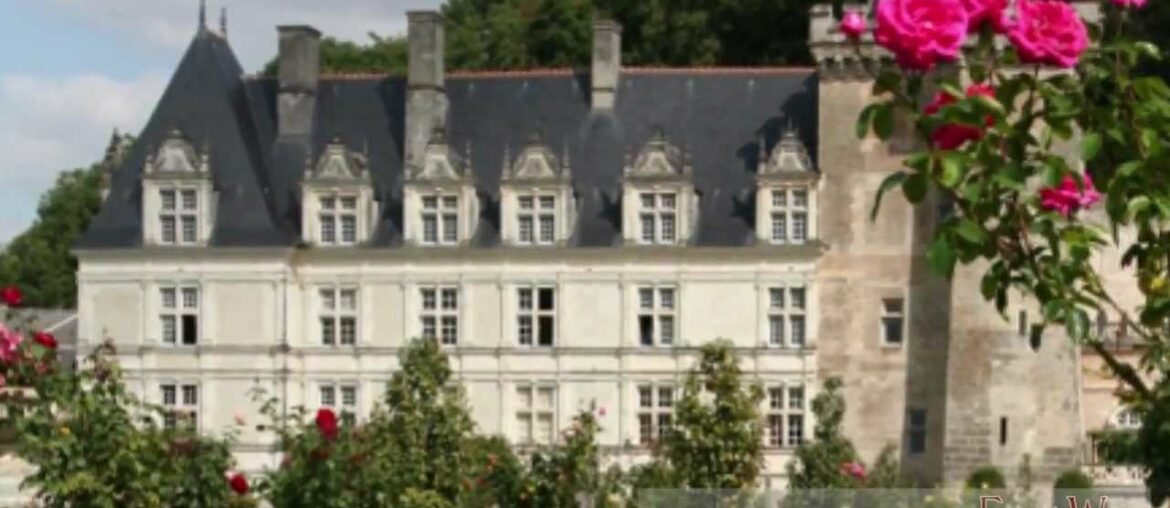 Loire Valley Wine Tours with French Wine Explorers | Wine Tours in France