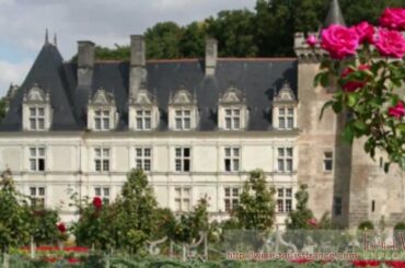 Loire Valley Wine Tours with French Wine Explorers | Wine Tours in France