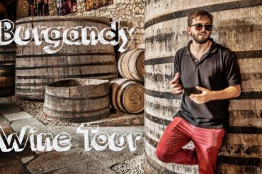 Dijon France Travel & food guide, wine tour of the Most expensive vineyard in the World (2018 )