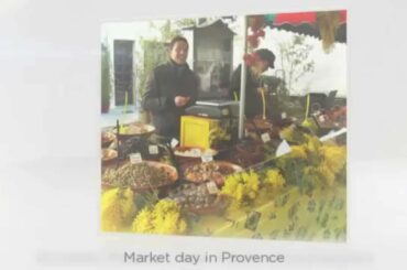 Wine Tours in France and Italy- Highlights with French Wine Explorers