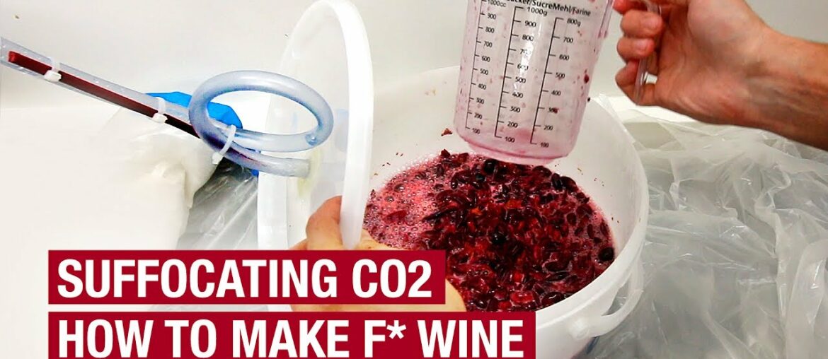 3. Good Alcoholic Fermentation. Bad Co2. How To Make F* Wine At Home 3. Good Alcoholic Fermentation. Bad Co2. How To Make F* Wine At Home
