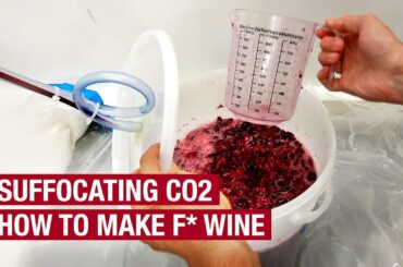 3. Good Alcoholic Fermentation. Bad Co2. How To Make F* Wine At Home