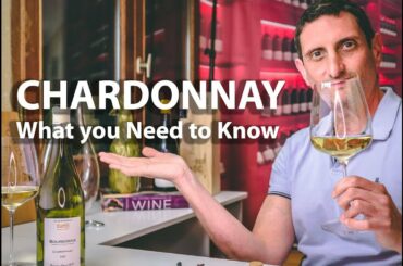 Chardonnay Wine 101  - Top $$$, Judgement of Paris, Best Wineries