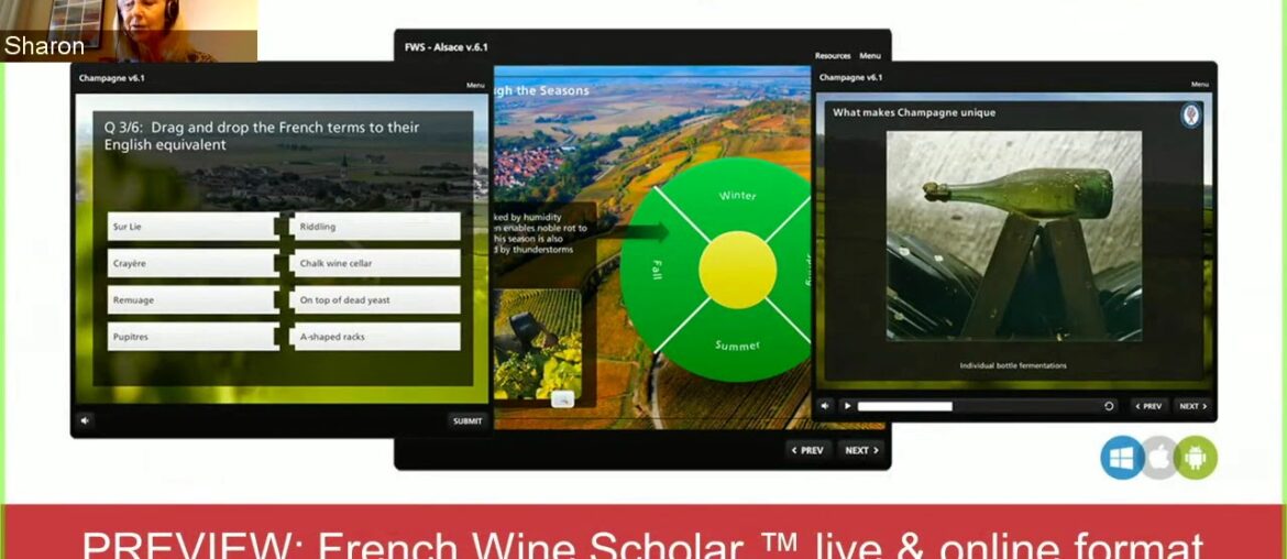 French Wine Scholar ™ online | 14-week Instructor-Led Format