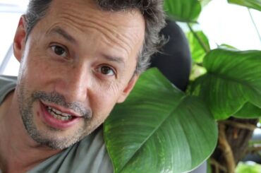 Family Life in The Bush ( Dandenong ranges australia)