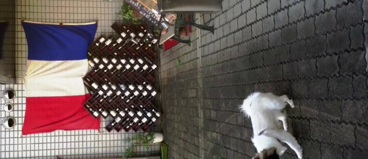 French Dining in Tarui             Nov 2015