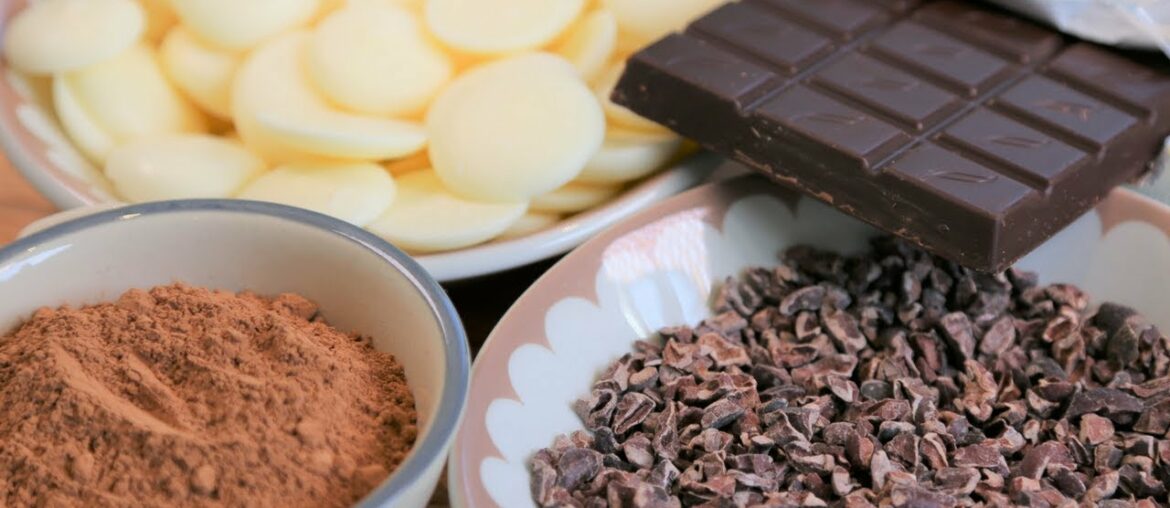 Do You Know what Chocolate Is made of? Do You Know what Chocolate Is made of?