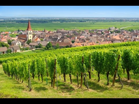 GoPro: Ribeauvillé & Riquewihr amazing french villages (Alsace Wine Route) GoPro: Ribeauvillé & Riquewihr amazing french villages (Alsace Wine Route)