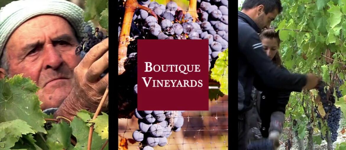 Good French Wine Does Not Have To Be Expensive | Unis Star Importing Promo Video Good French Wine Does Not Have To Be Expensive | Unis Star Importing Promo Video