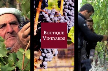 Good French Wine Does Not Have To Be Expensive | Unis Star Importing Promo Video