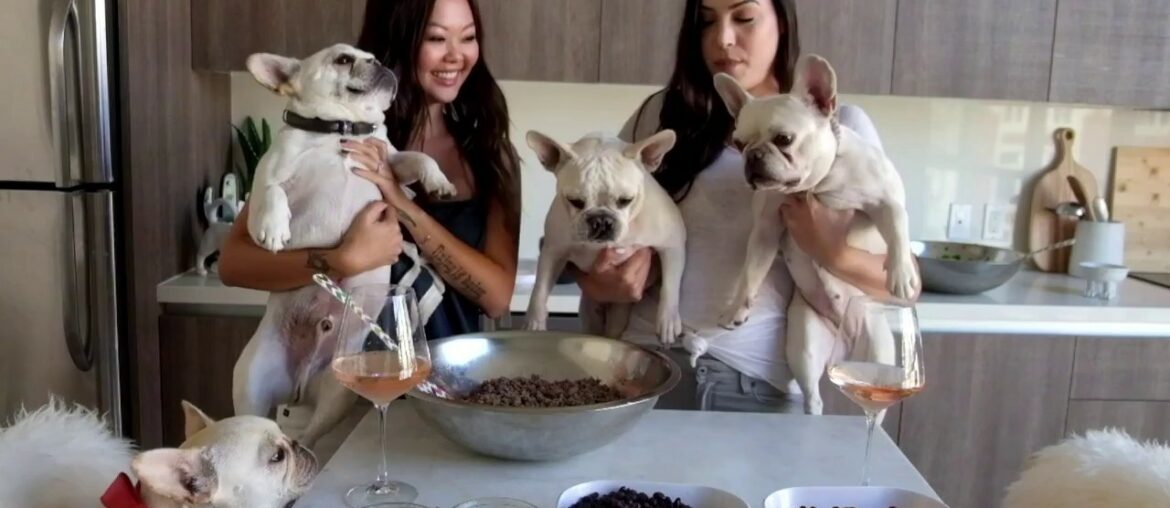 Our Favorite DIY Easy Homemade Dog Food Recipe