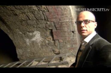 Insider Tour To A Wine Cellar Near Versailles in France (Vlog)