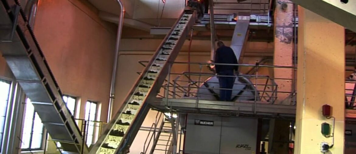 WINE MAKING. INDUSTRIAL WINE PRESS FACTORY IN EGUISHEIM ALSACE FRANCE.