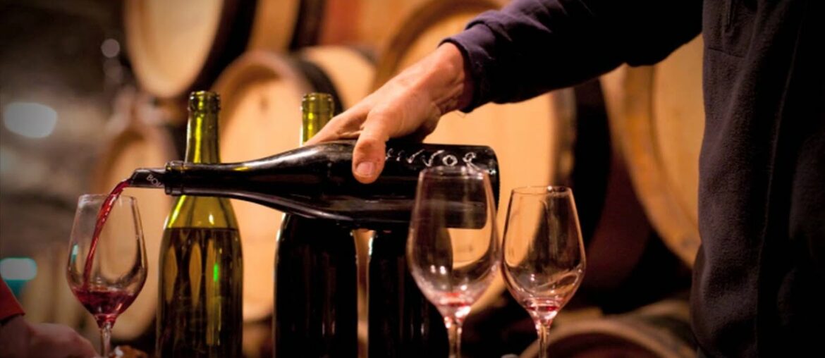 French Wine  - Morrisons Cellar