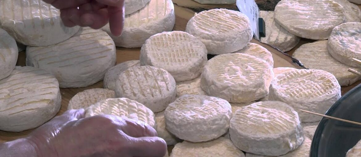 Wine and french cheese