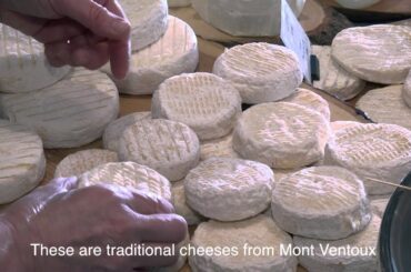 Wine and french cheese