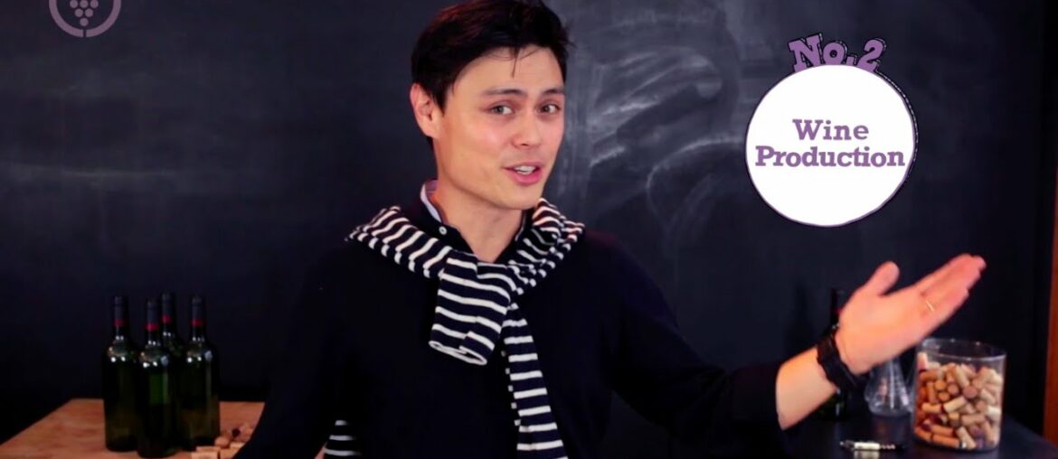 French Wine - Grape Globe