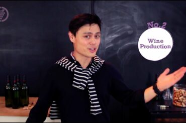 French Wine - Grape Globe