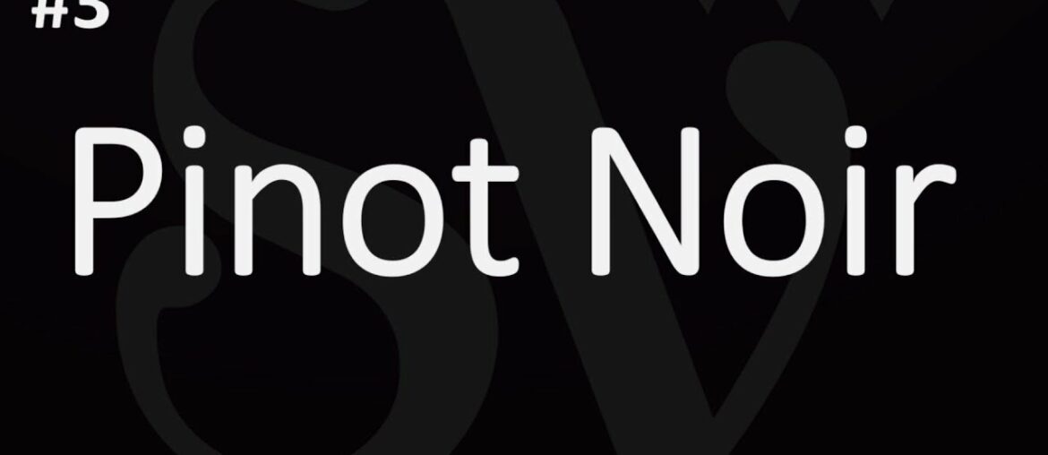 How to Pronounce Pinot Noir - Julien's Wine School