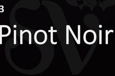 How to Pronounce Pinot Noir - Julien's Wine School